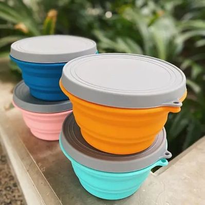 Collapsible Silicone Lunch Container Bowl Odorless Leakproof